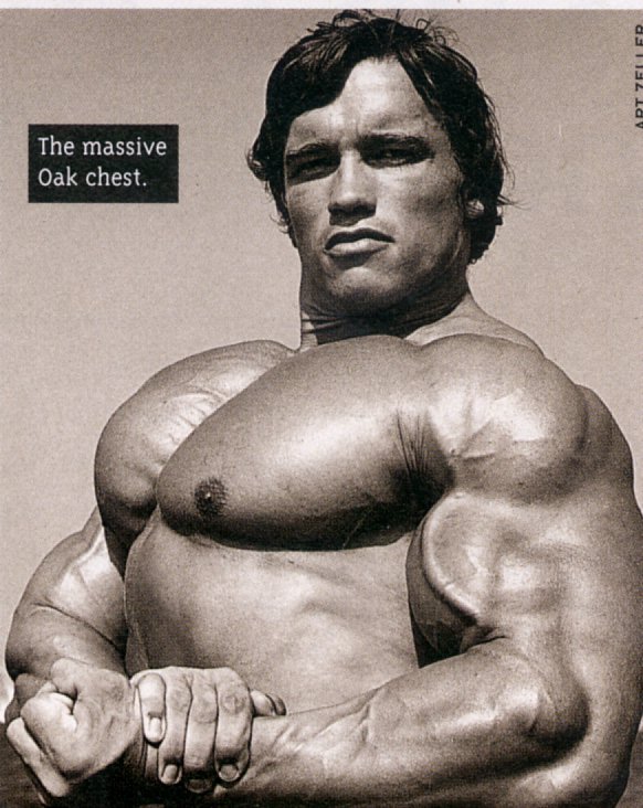 Chest Growth: Eliminating the Bird Chest